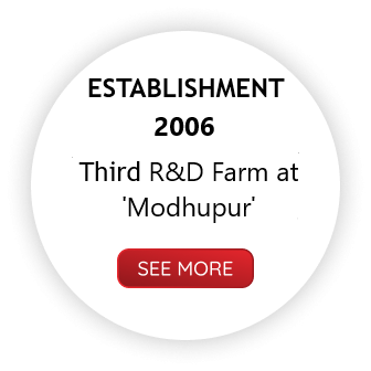 Third R&D Farm at Modhupur